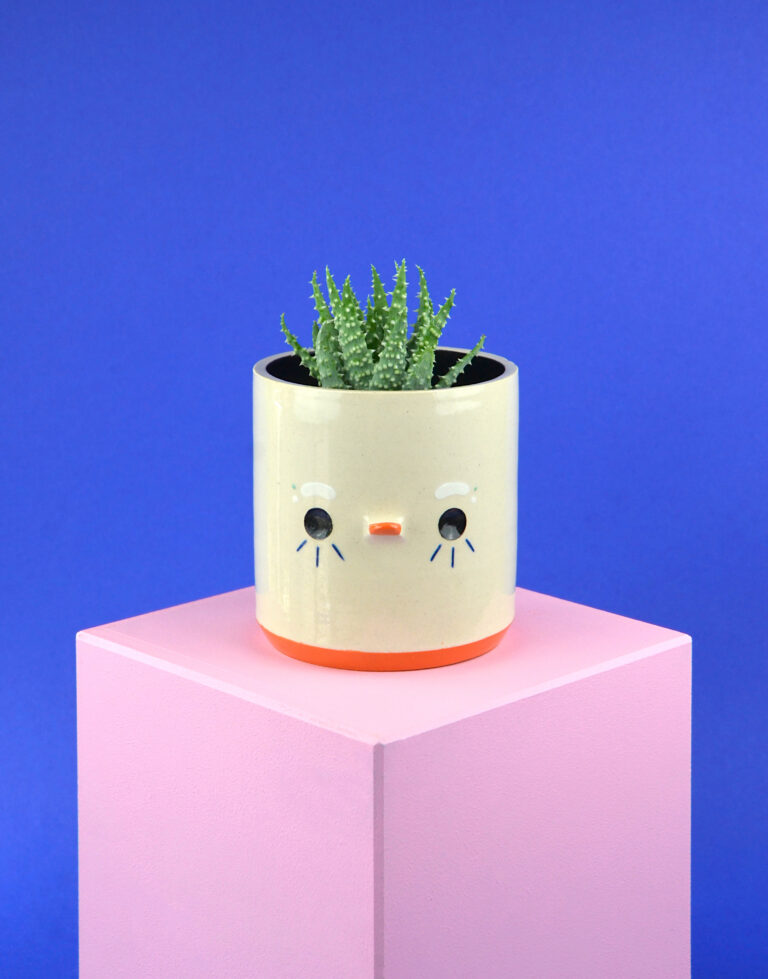 cache pot