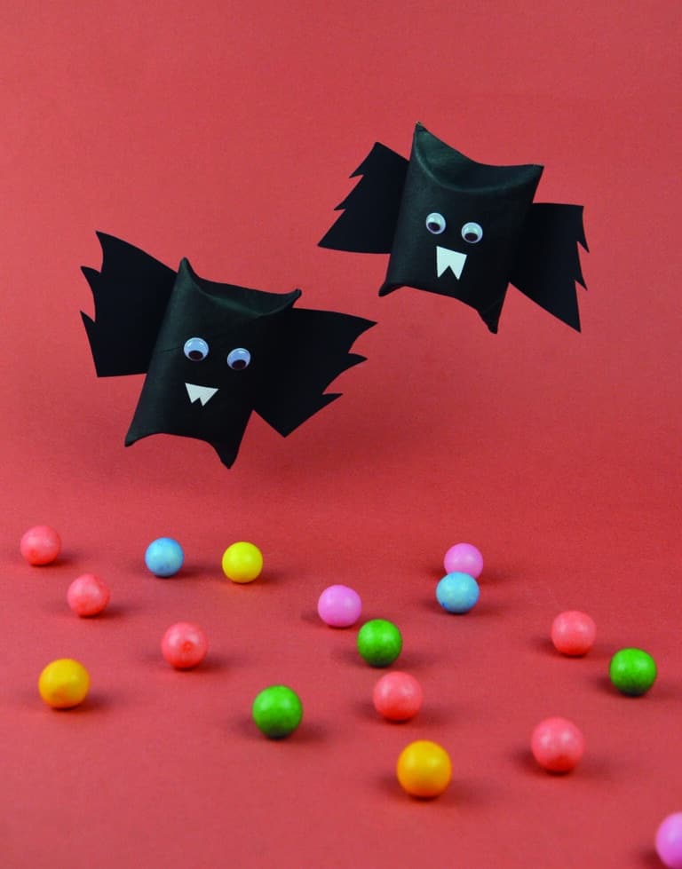 les chauve souris